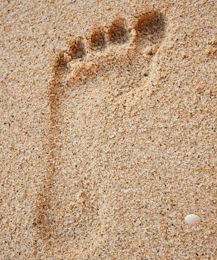 Digital Footprints: Why and How to Clear Your Private Computer Data